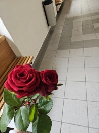 Rosentag